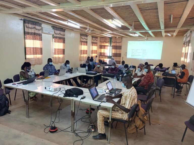 Burkina Faso Advances on Road to Digitized Health System | Living Goods